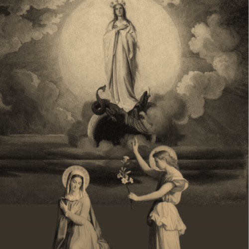 TEM NAROMA 5x5.5cm Catholic.pdf 360 x 55.033 mm 50 x 55.033 mm 2