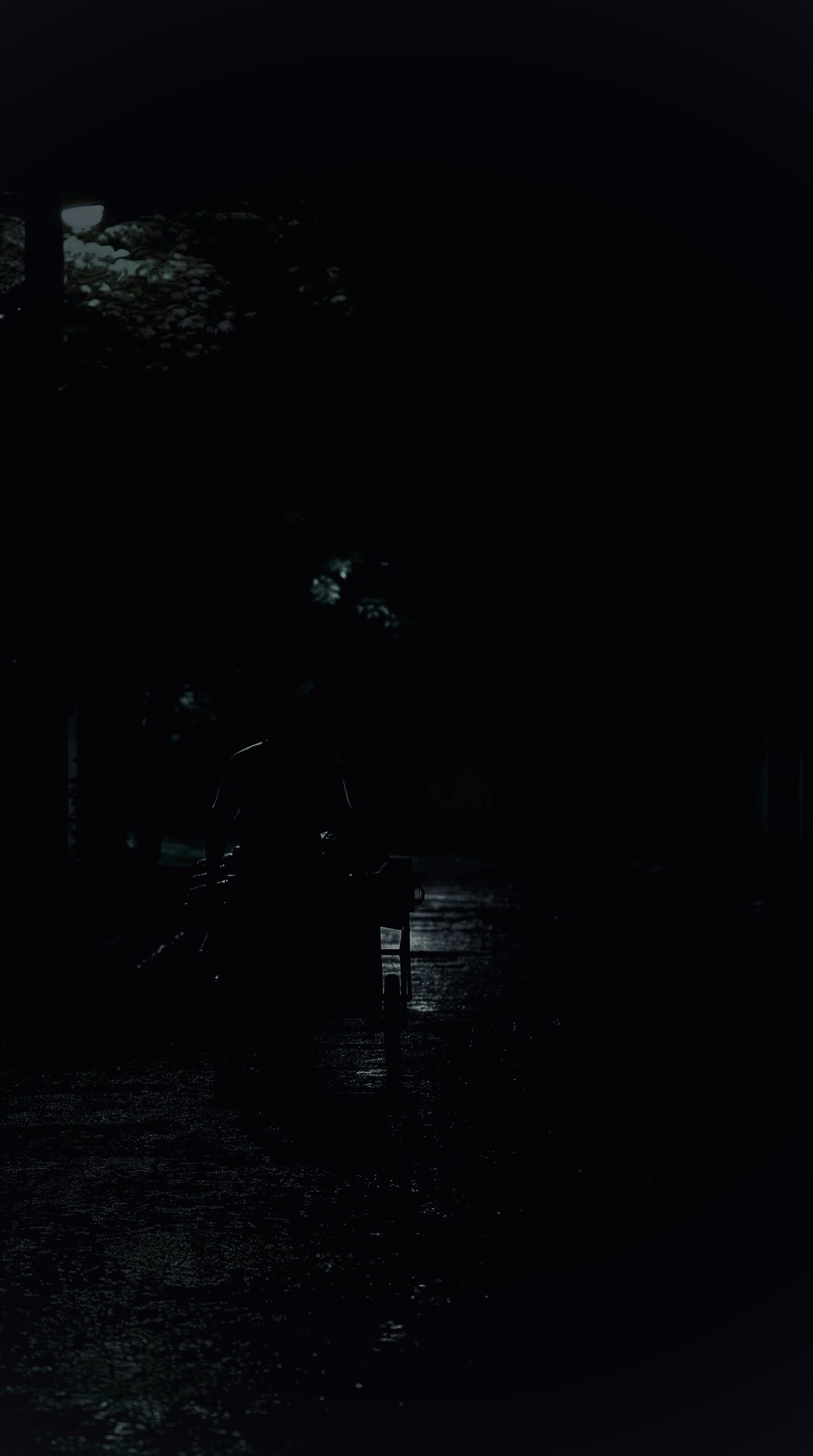 MIDNIGHt D RAIN 5 scaled